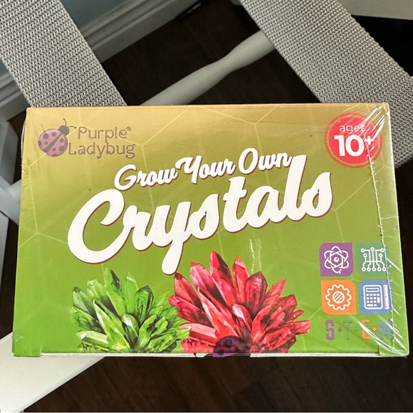 Purple Ladybug Grow Your Own Crystals Red and Green Stem - Picture 5 of 10